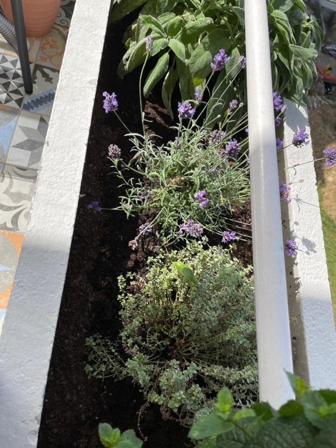 Family Home Capodistria Esterno foto